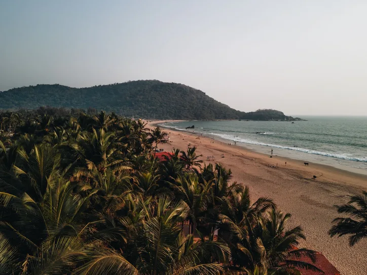 A stunning aerial view of Palolem Beach in Goa, India at sunset, lined with lush palm trees.