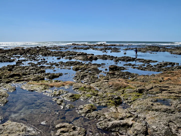 Explore the rugged beauty of Tamarindo's rocky shoreline under a clear blue sky.
