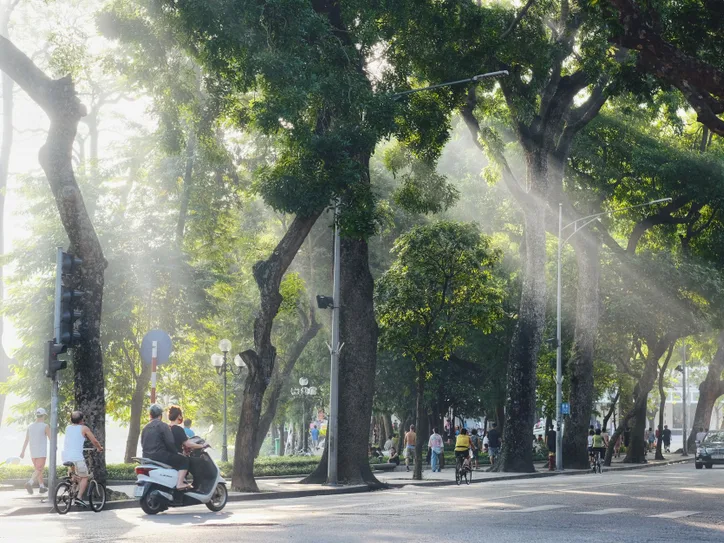 Morning sunlight filters through trees on a vibrant street in Hoàn Kiếm, Hanoi, capturing urban life and travel.