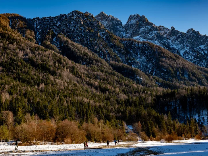 Stunning winter view of Kranjska Gora's mountains and forest.