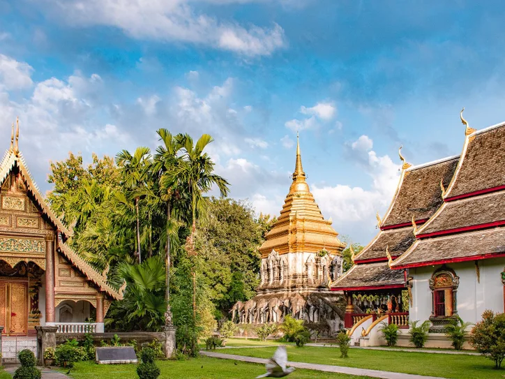 A beautiful view of Wat Chiang Man temple in Chiang Mai, Thailand, surrounded by lush greenery.