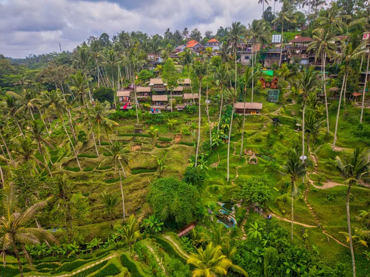 Stunning aerial view of Tegallalang Rice Terraces in Ubud, Bali, showcasing lush greenery and traditional huts.