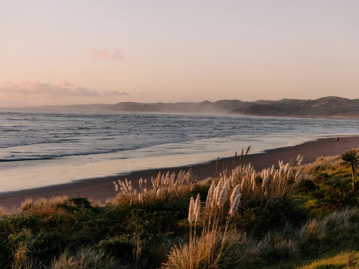 Serene view of Raglan Beach at sunset with waves and coastal grass in Waikato, New Zealand.