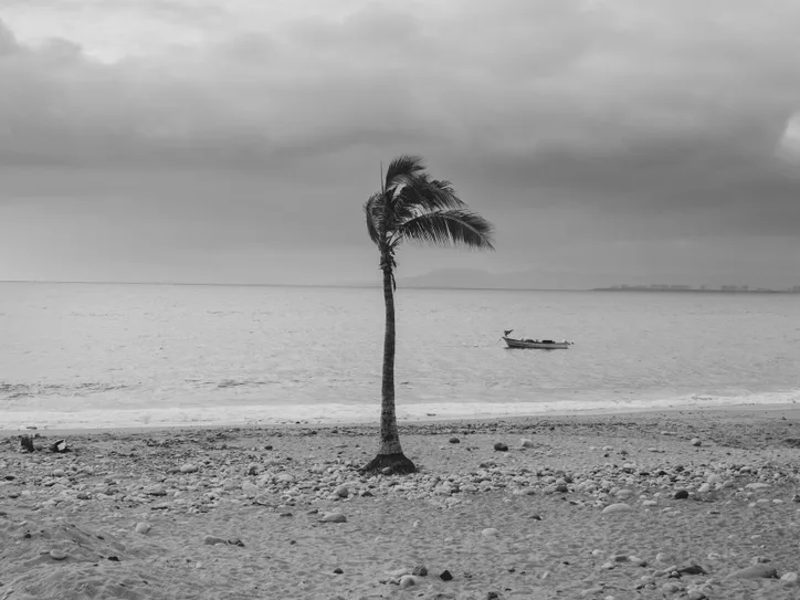 Calm Puerto Vallarta beach with lone palm and boat under stormy sky.