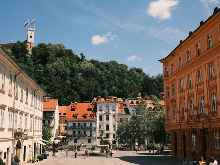 Explore the vibrant Ljubljana cityscape with historic castle view and classic architecture.