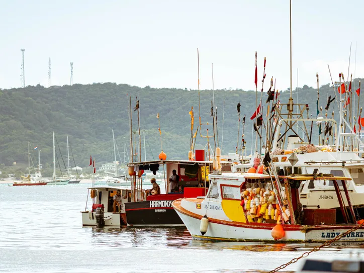 Colorful fishing boats docked in Saint George's, Grenada with lush green hills in the background.